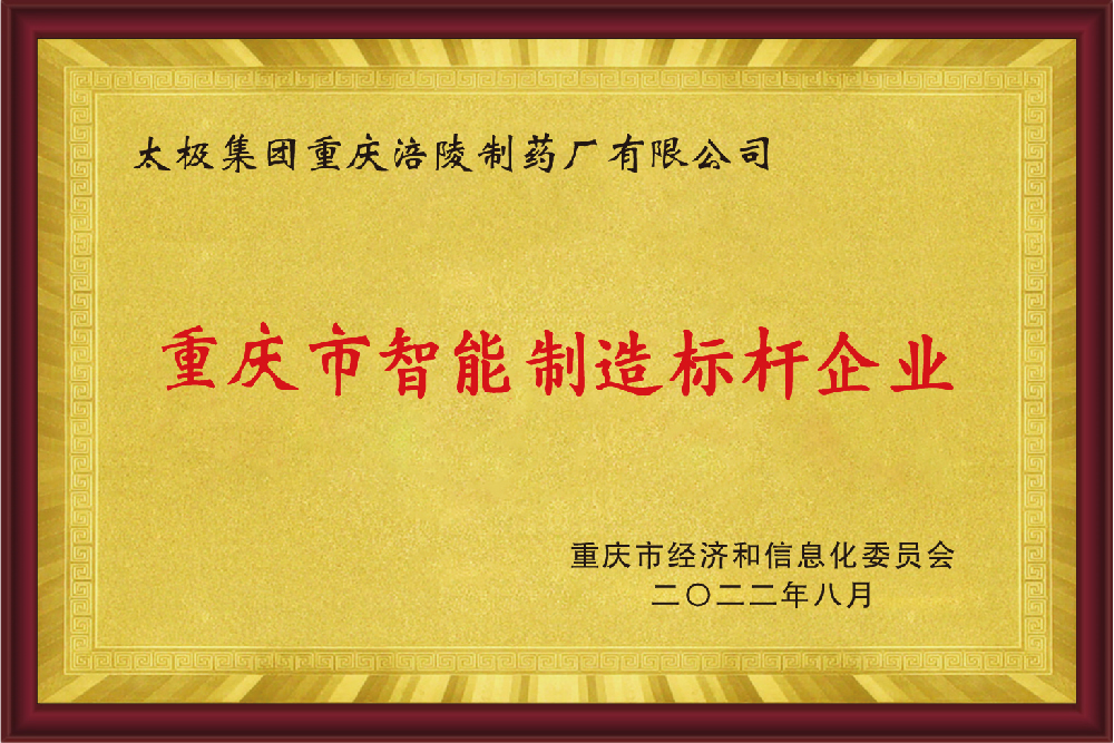 重庆市智能制造标杆企业.jpg