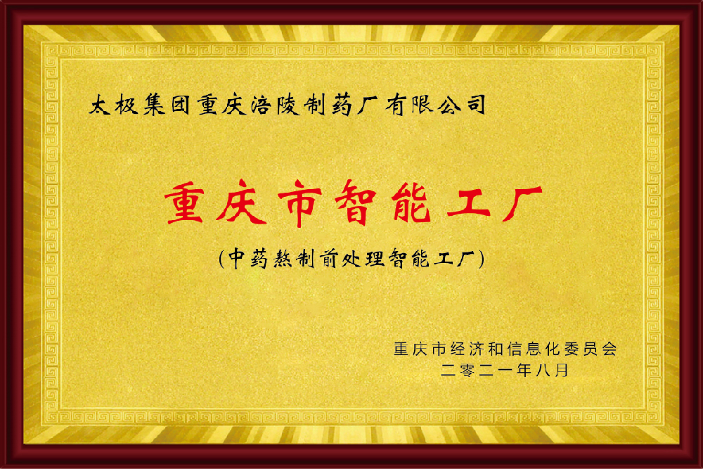 重庆市智能工厂(中药熬制前处理智能工厂).jpg