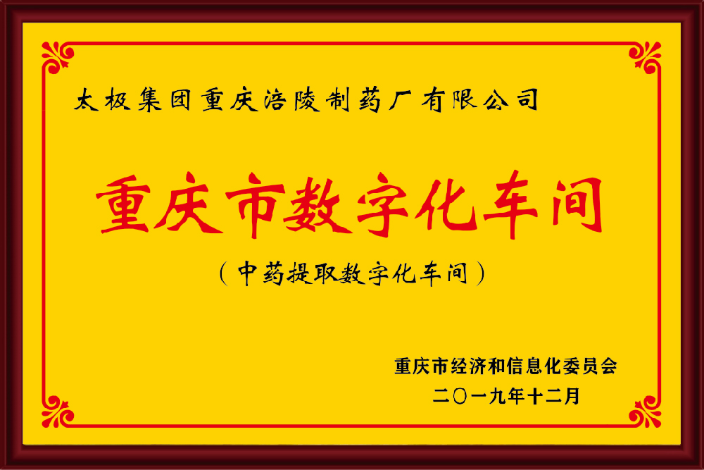 重庆市数字化车间(中药提取数字化车间).jpg