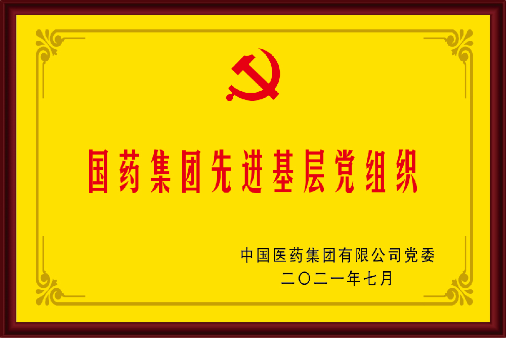 国药集团先进基层党组织.jpg