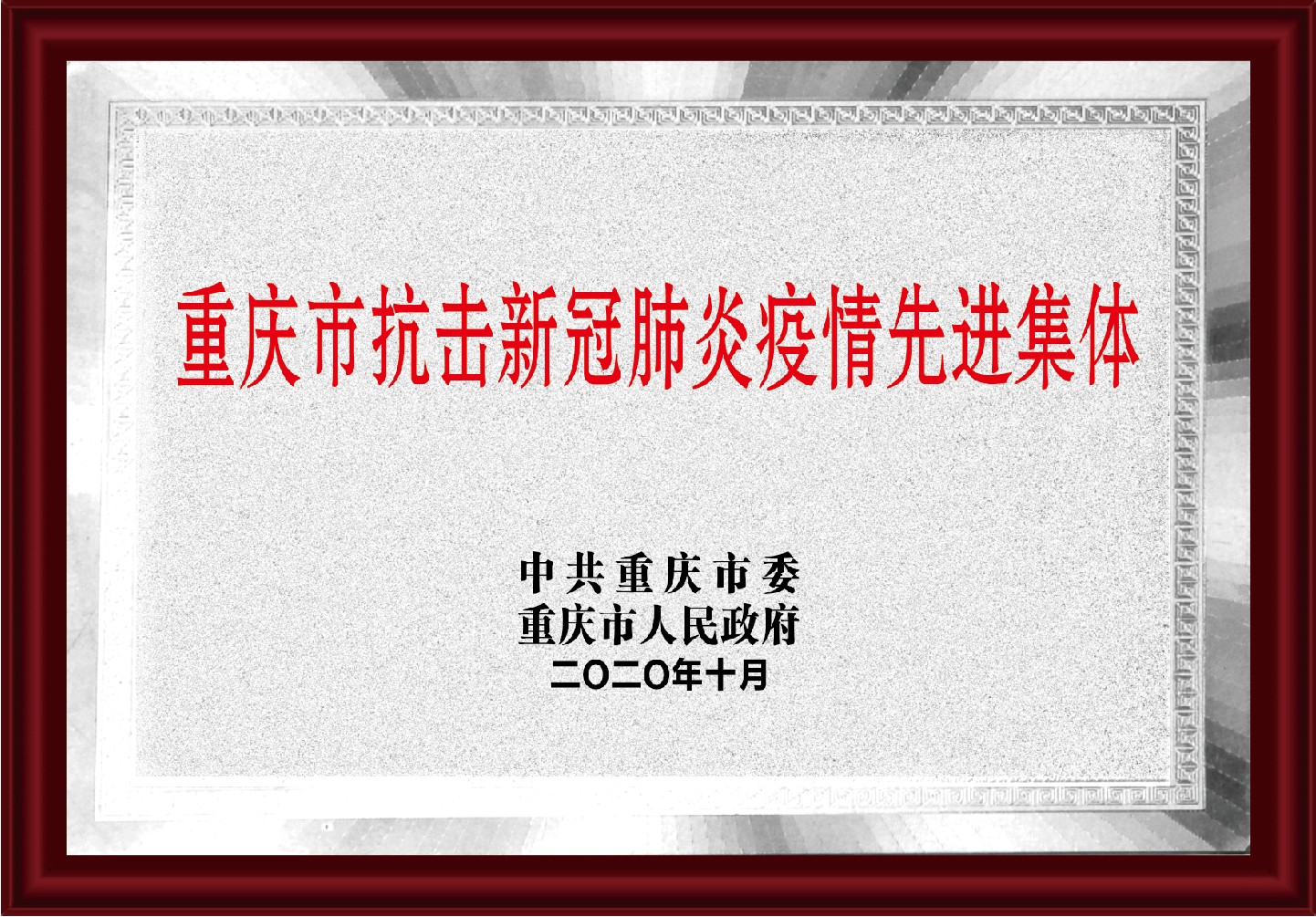 重庆市抗击新冠肺炎疫情先进集体.jpg
