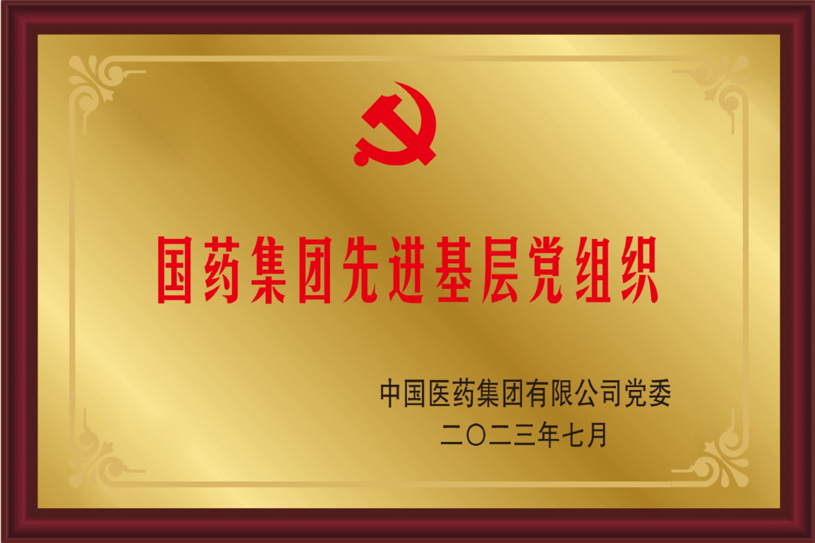 国药先进党组织.jpg