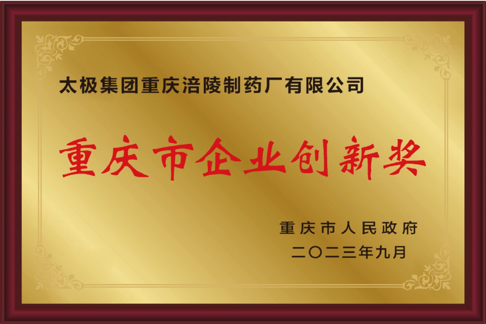 重庆市创新奖-02.jpg
